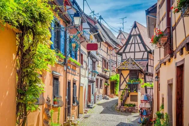 Strasburgo e Colmar Weekend: Sentiero di incanto tra vini e sapori